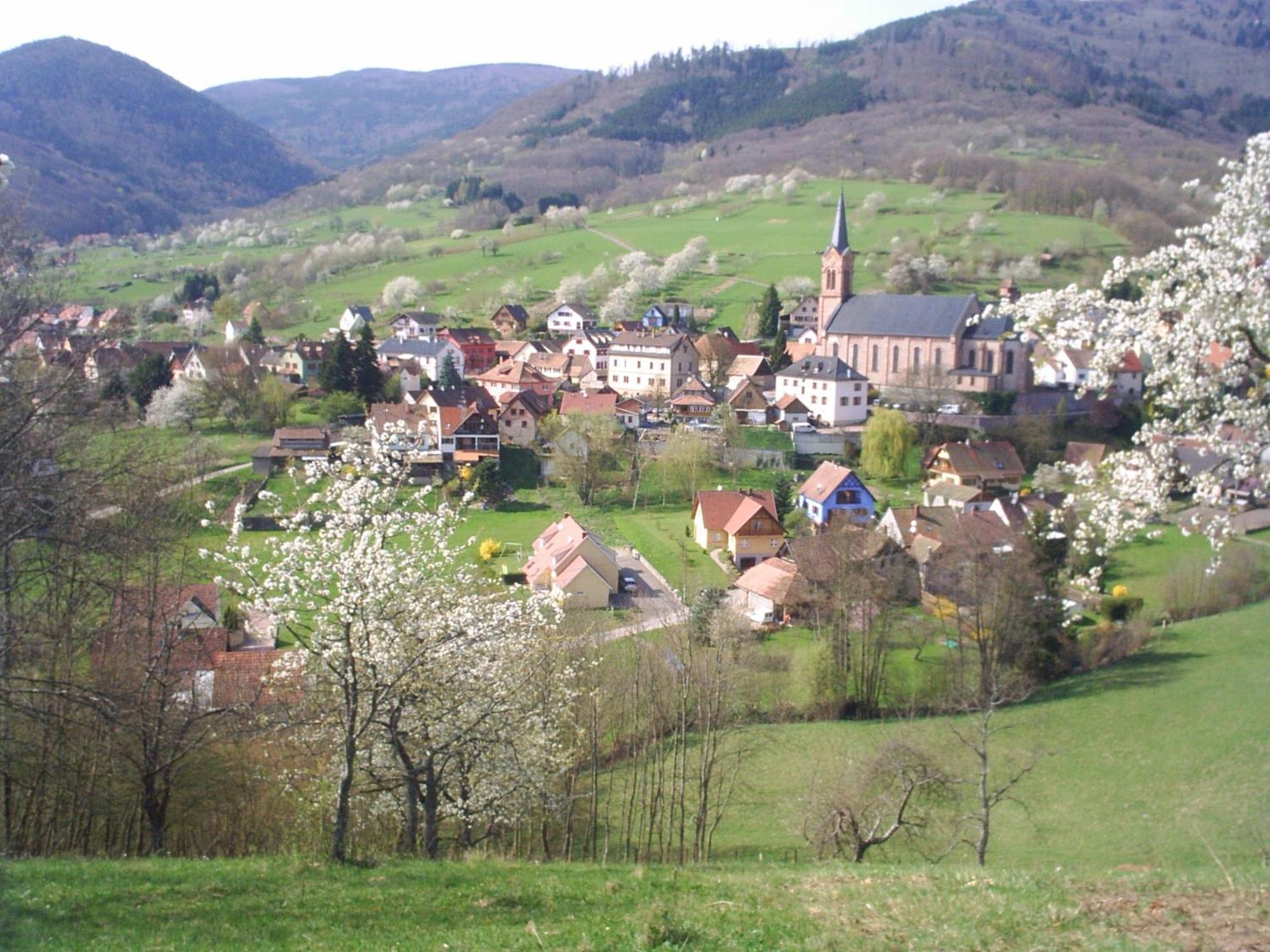 Gite Bellevue Breitenbach 외부 사진
