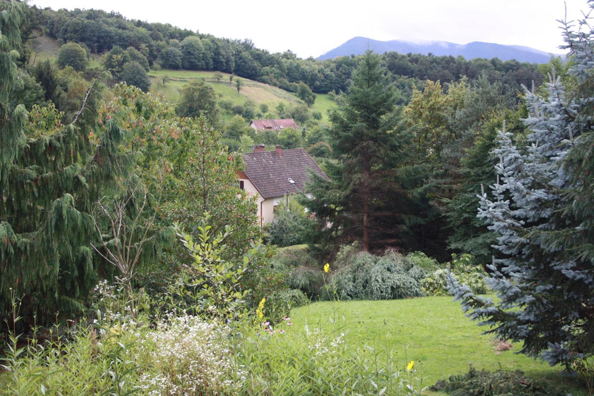 Gite Bellevue Breitenbach 외부 사진